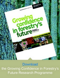 meet the research leaders